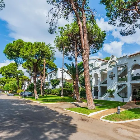 Penthouse Jacaranda شقة